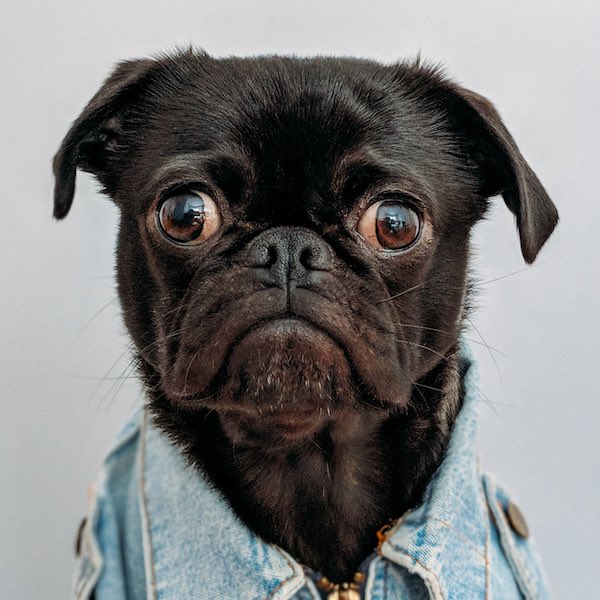 photo of Valerie Vaske